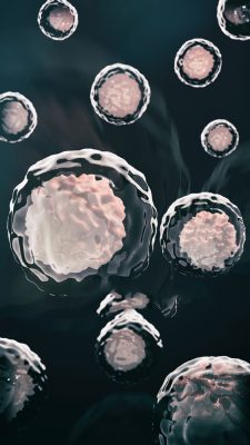 Stem_cells_2